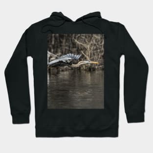 Blue Heron In Flight Hoodie